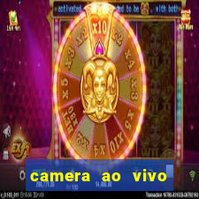 camera ao vivo beto carrero